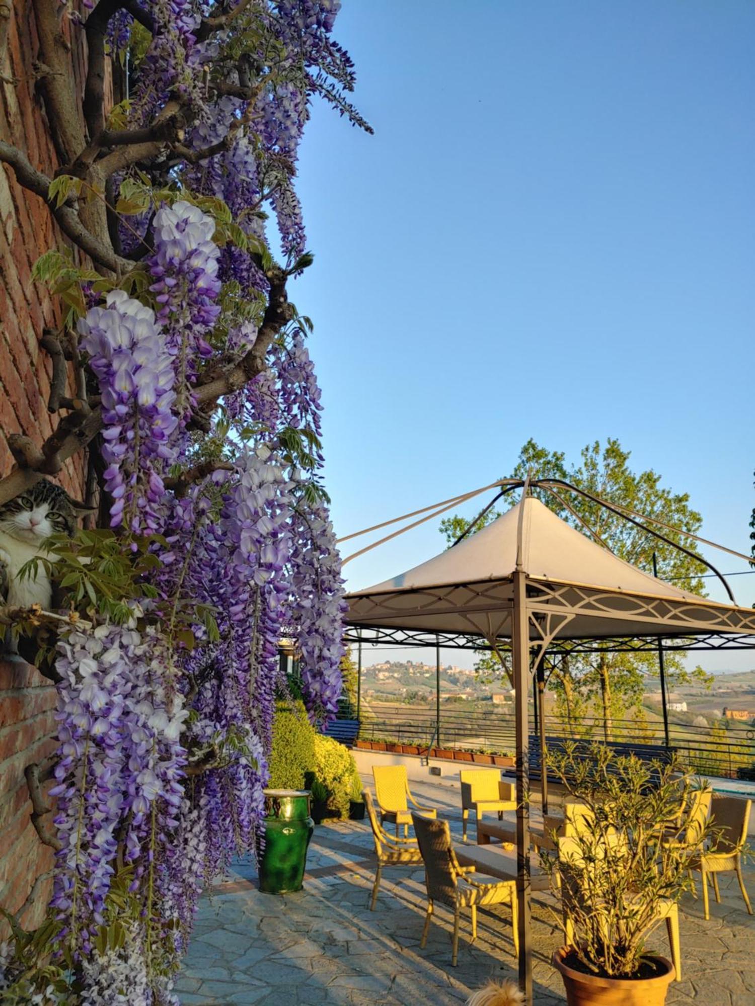 Locanda Del Boscogrande Montegrosso dʼAsti Δωμάτιο φωτογραφία